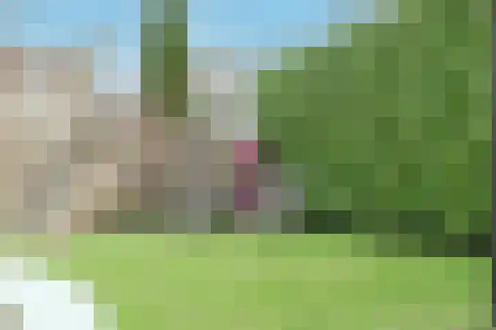 Schans 21 Enkhuizen thumbnail 56