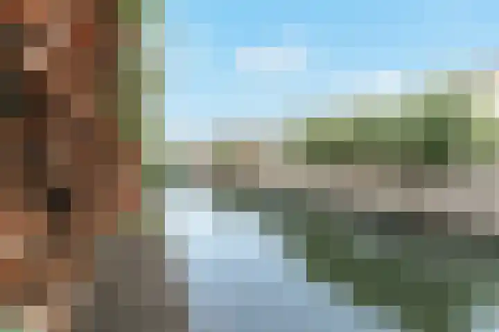 Schans 21 Enkhuizen thumbnail 58