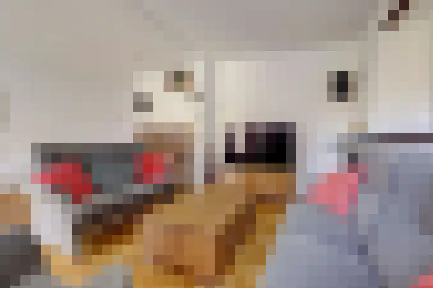 Schans 21 Huissen thumbnail 12