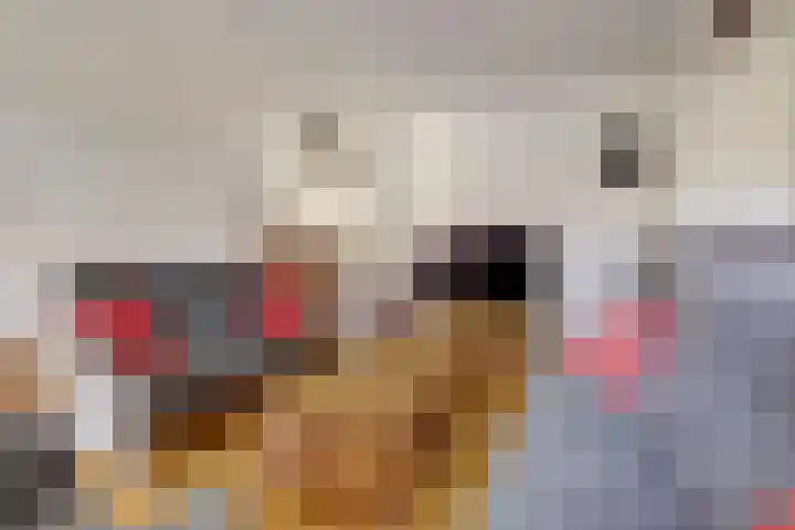 Schans 21 Huissen thumbnail 12