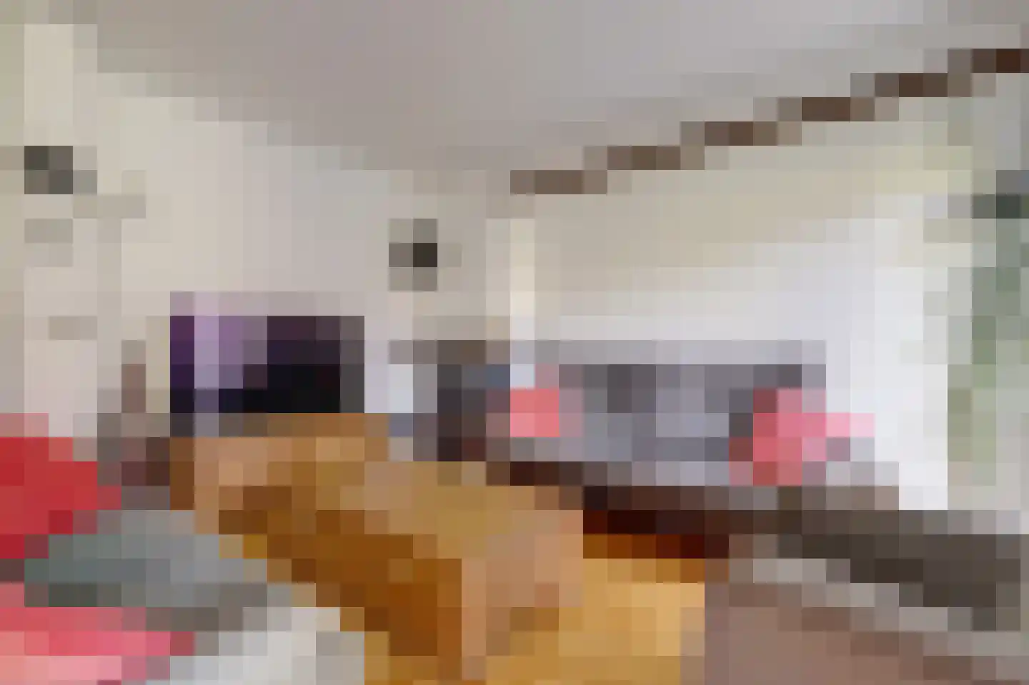 Schans 21 Huissen thumbnail 13