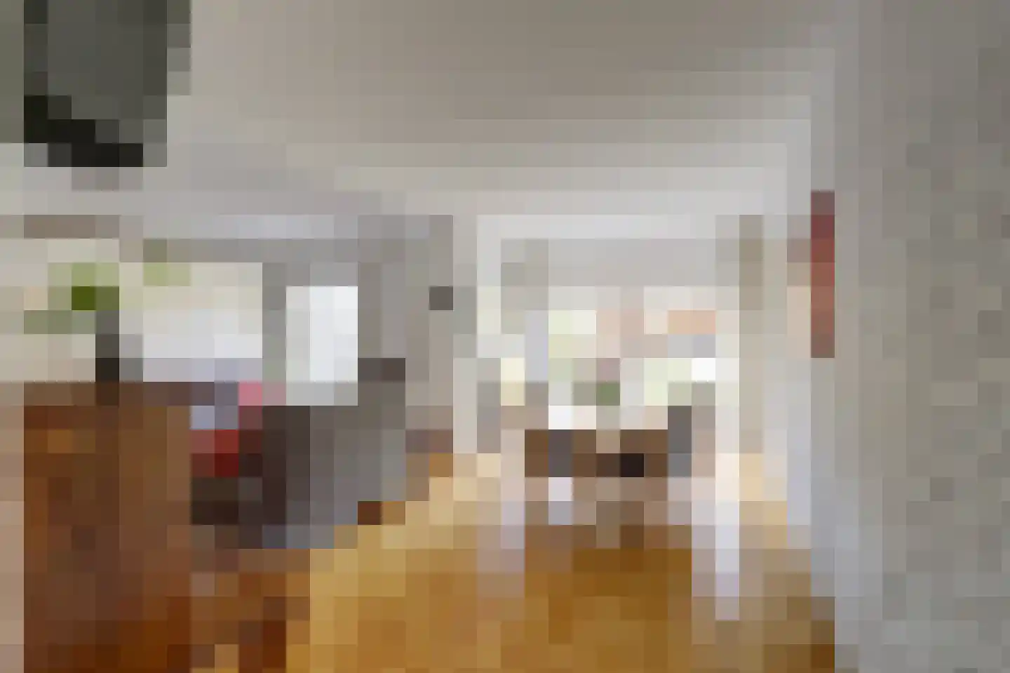 Schans 21 Huissen thumbnail 14