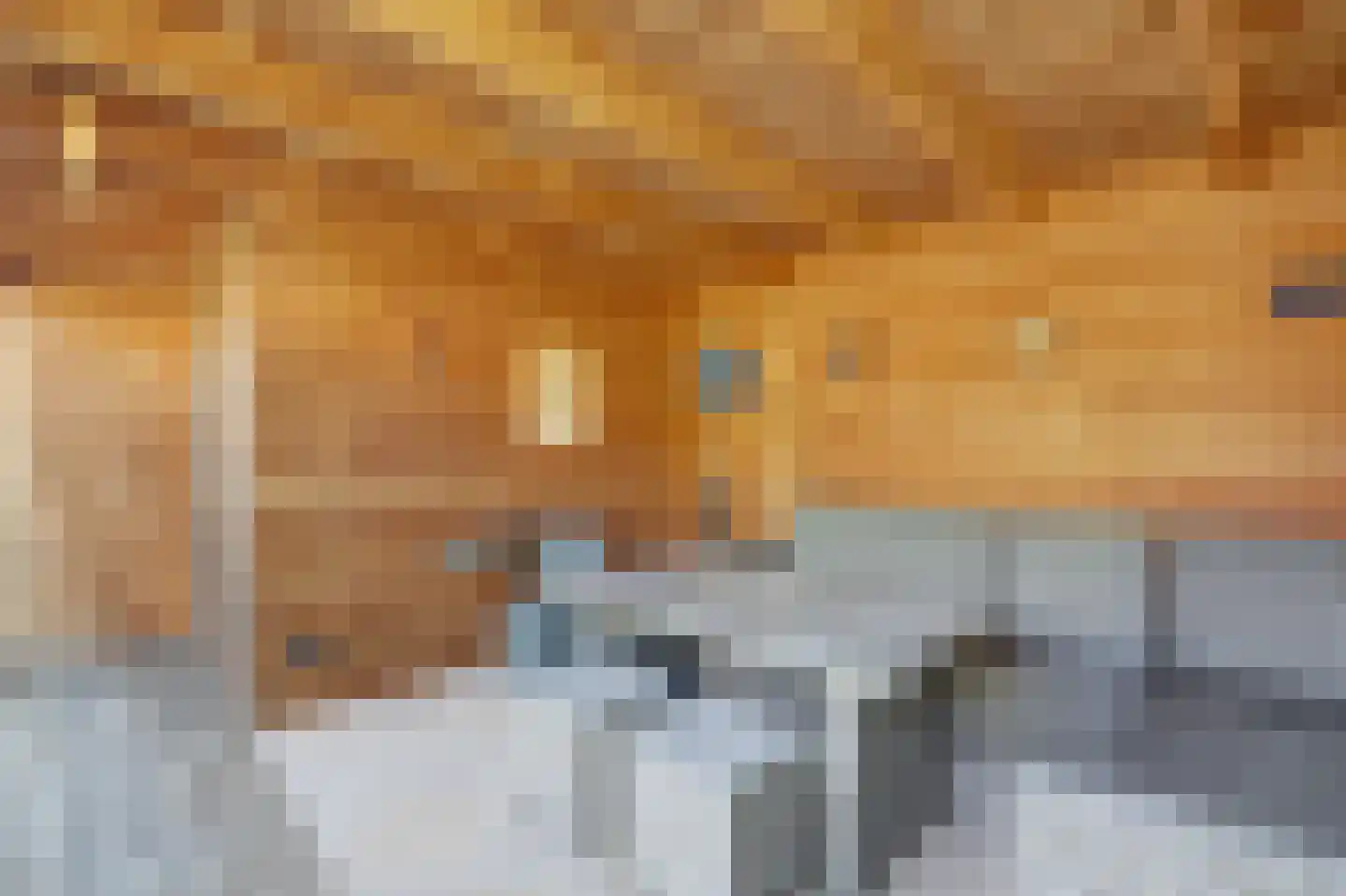 Schans 21 Huissen thumbnail 25