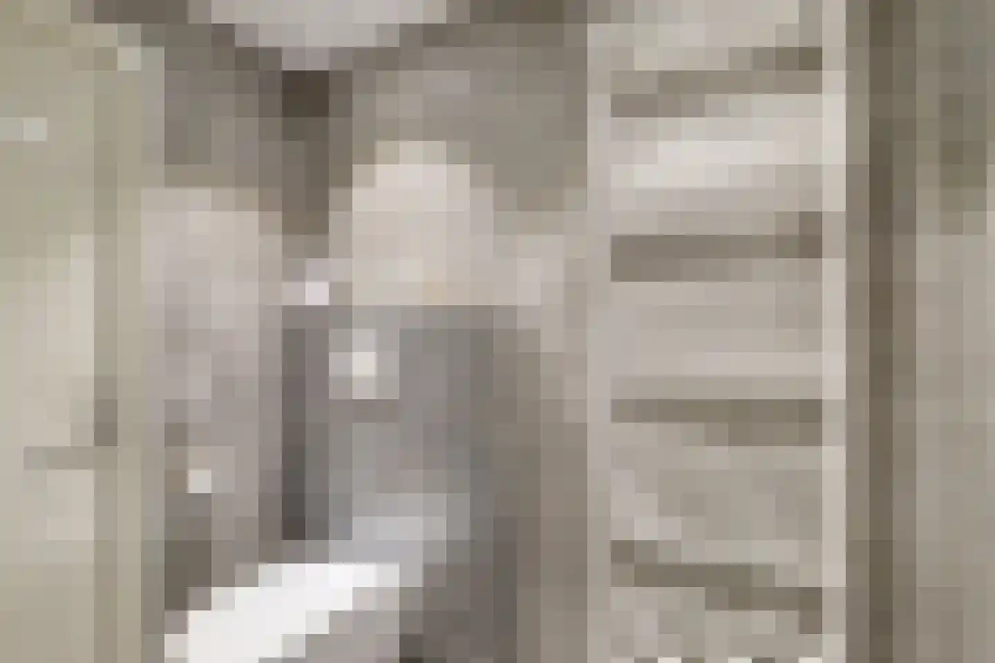 Schans 21 Huissen thumbnail 35