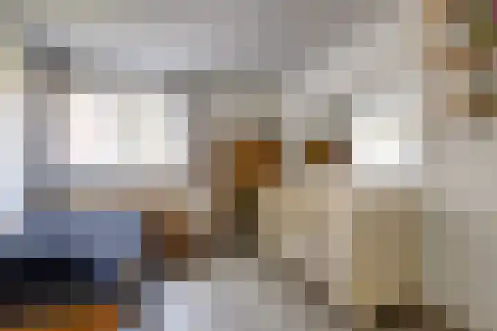 Schans 21 Huissen thumbnail 38