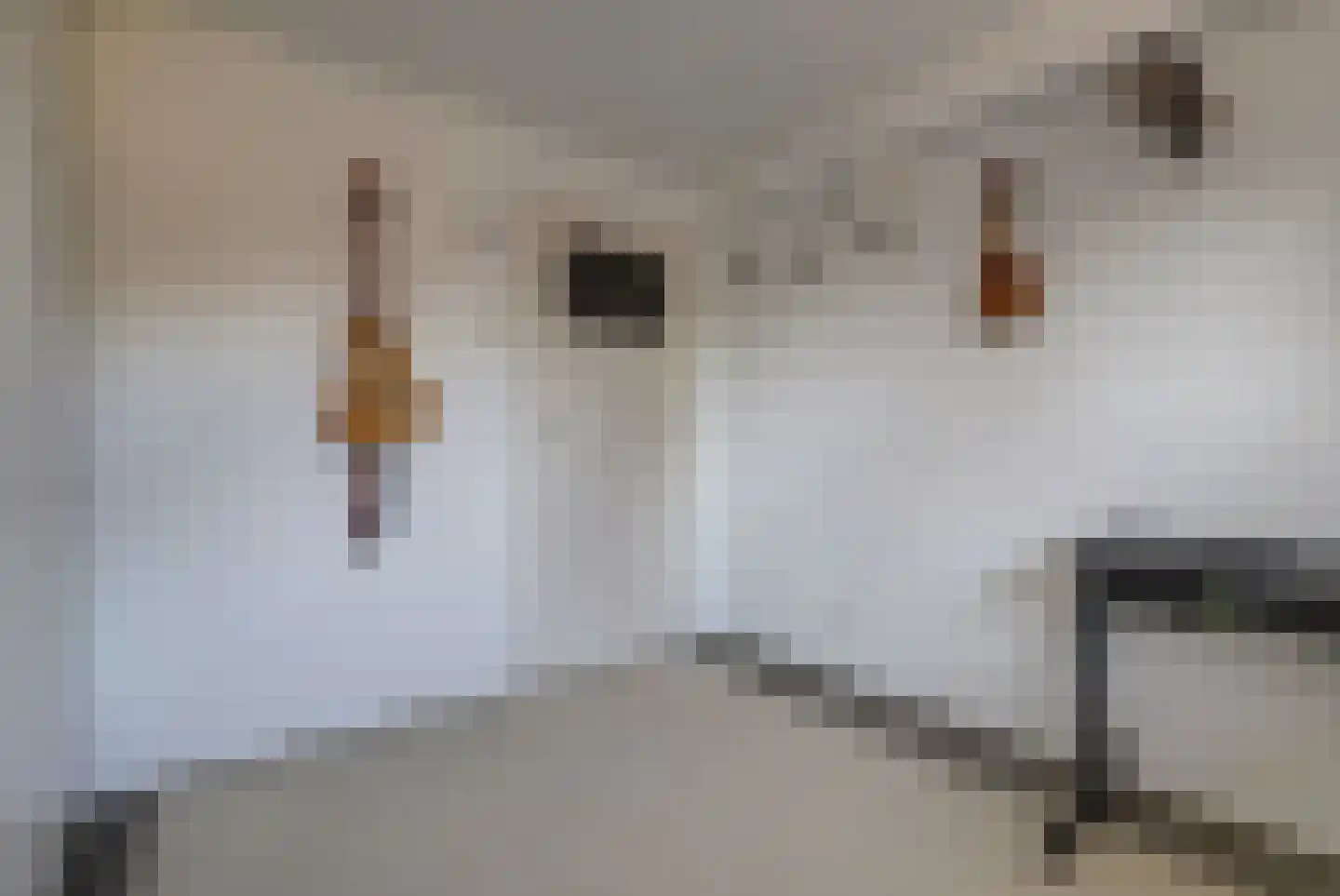 Schans 21 Huissen thumbnail 40