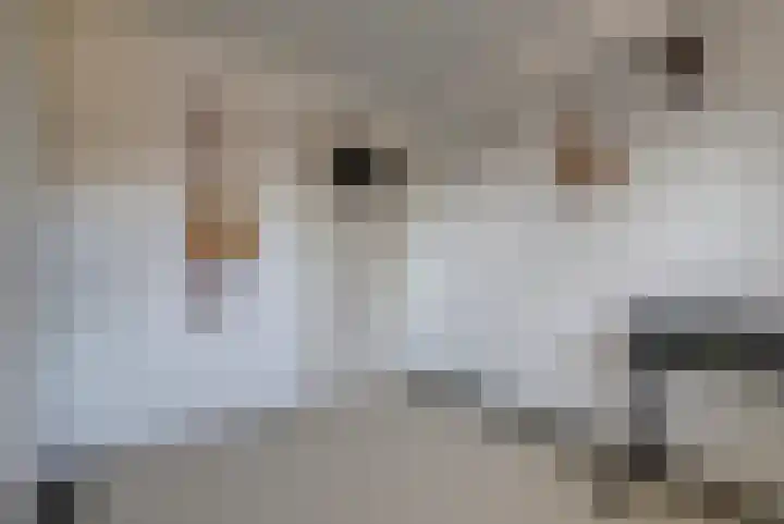 Schans 21 Huissen thumbnail 40
