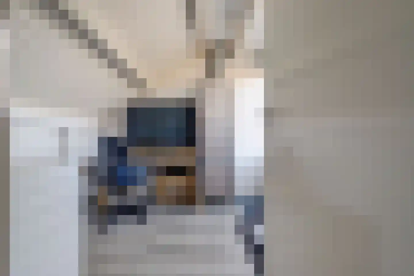 Schans 21 Huissen thumbnail 44