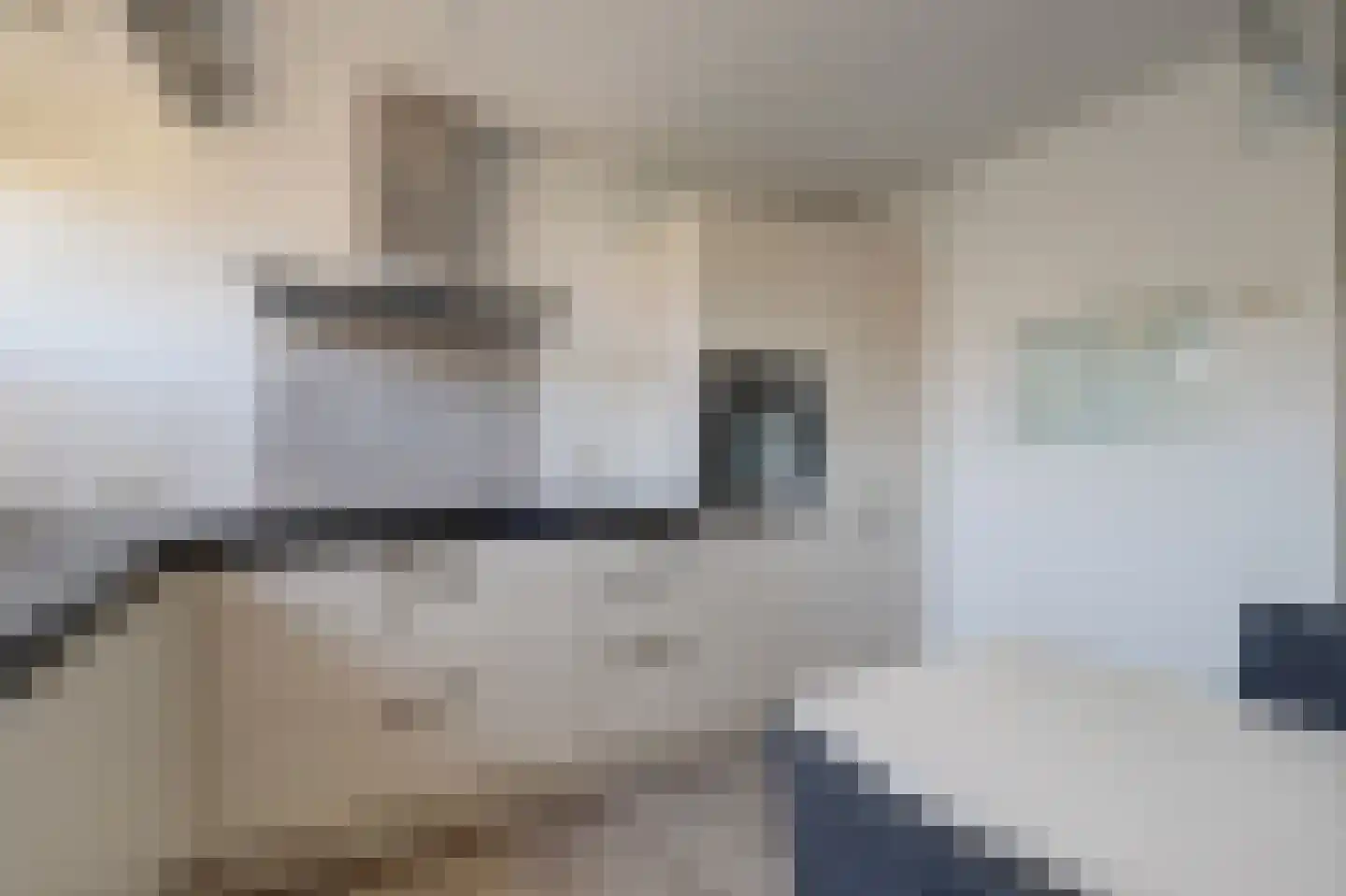Schans 21 Huissen thumbnail 9