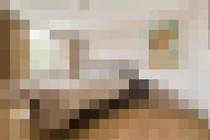Schans 220 Uithoorn thumbnail 11