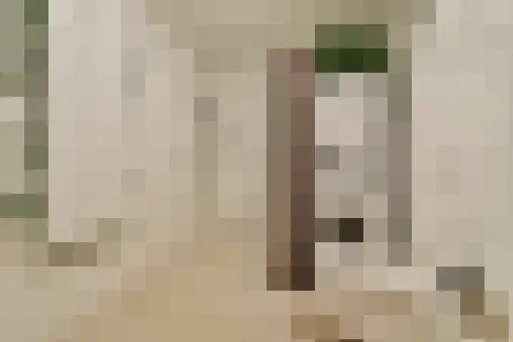 Schans 220 Uithoorn thumbnail 16