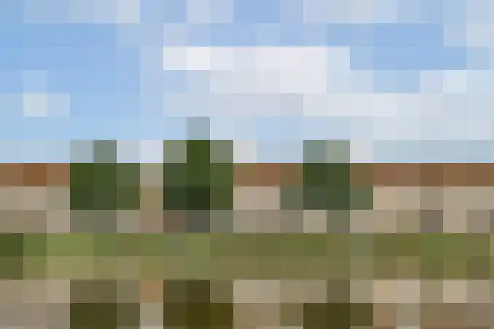 Schans 220 Uithoorn thumbnail 17