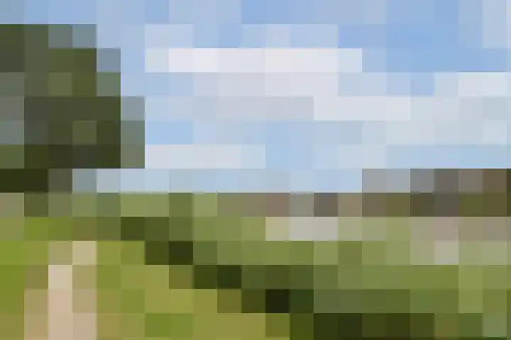 Schans 220 Uithoorn thumbnail 20