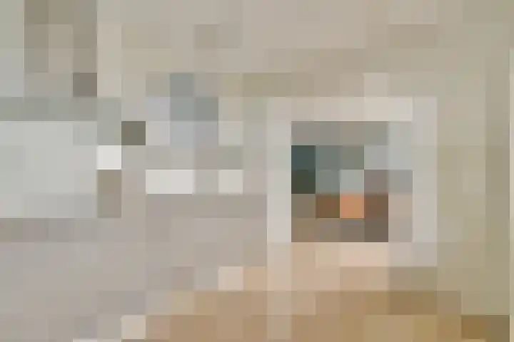 Schans 220 Uithoorn thumbnail 6