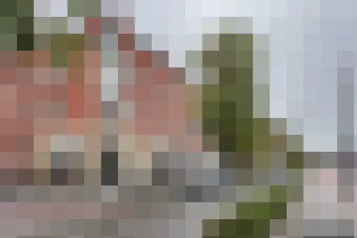 Schans 24 B Rotterdam thumbnail 26
