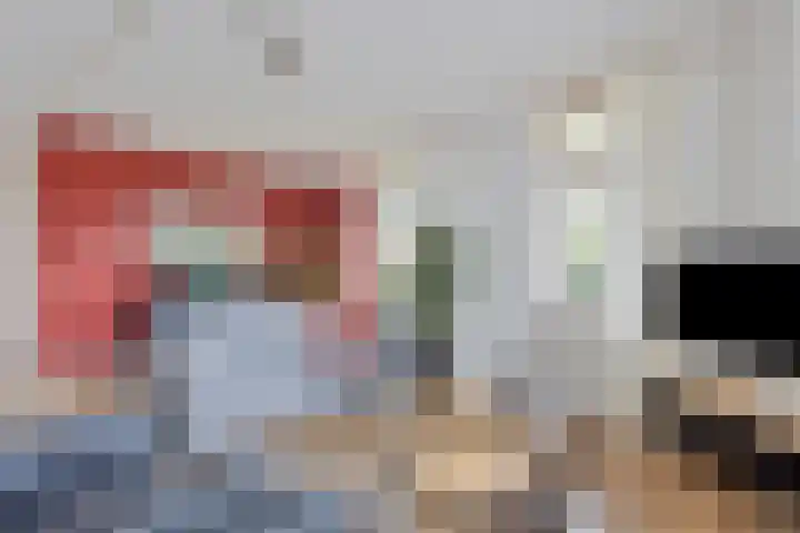 Schans 26 Berkel en Rodenrijs thumbnail 12