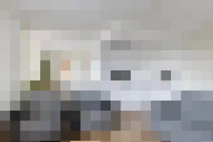 Schans 26 Berkel en Rodenrijs thumbnail 13