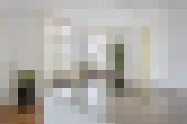 Schans 26 Berkel en Rodenrijs thumbnail 16
