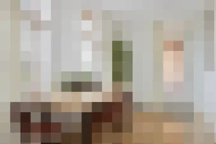 Schans 26 Berkel en Rodenrijs thumbnail 17