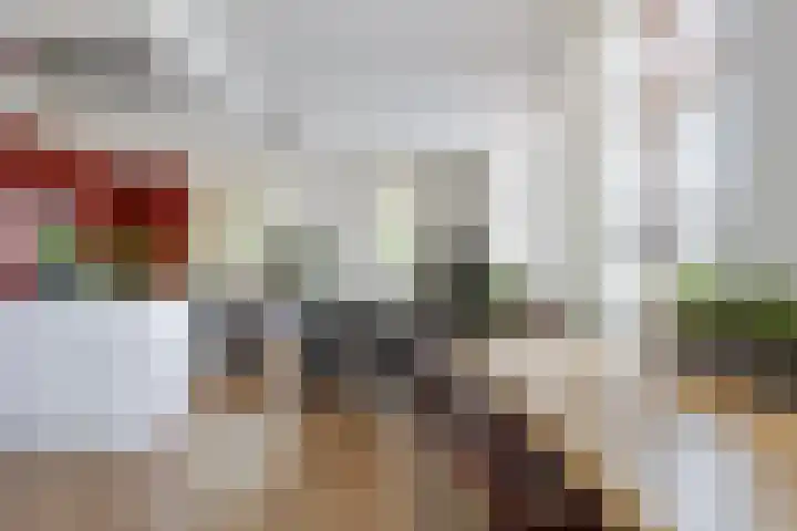Schans 26 Berkel en Rodenrijs thumbnail 20