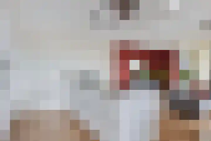 Schans 26 Berkel en Rodenrijs thumbnail 21