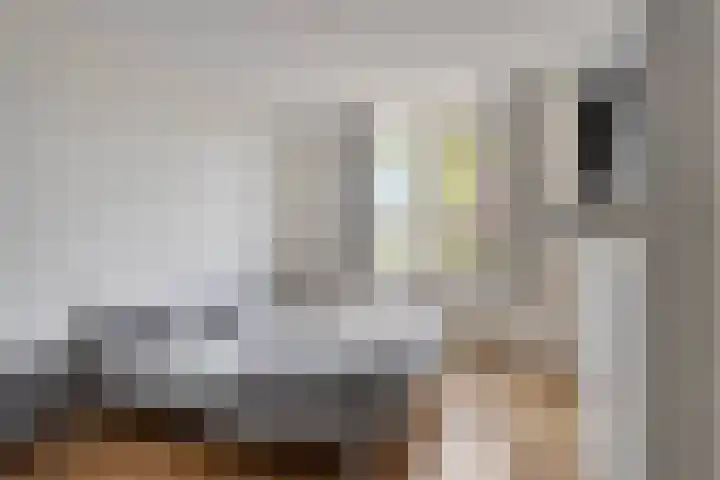 Schans 26 Berkel en Rodenrijs thumbnail 23