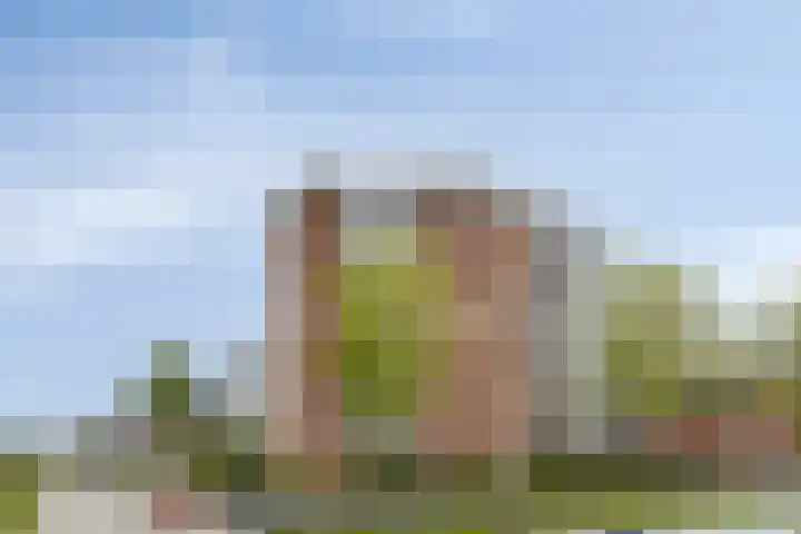 Schans 26 Berkel en Rodenrijs thumbnail 28