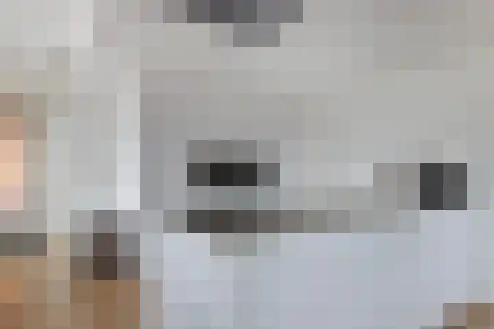 Schans 26 Berkel en Rodenrijs thumbnail 4