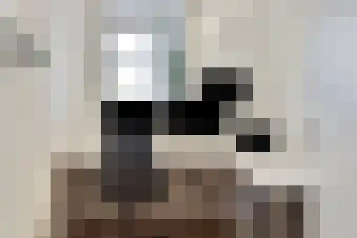 Schans 26 Berkel en Rodenrijs thumbnail 7