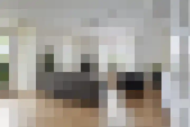 Schans 26 Berkel en Rodenrijs thumbnail 8