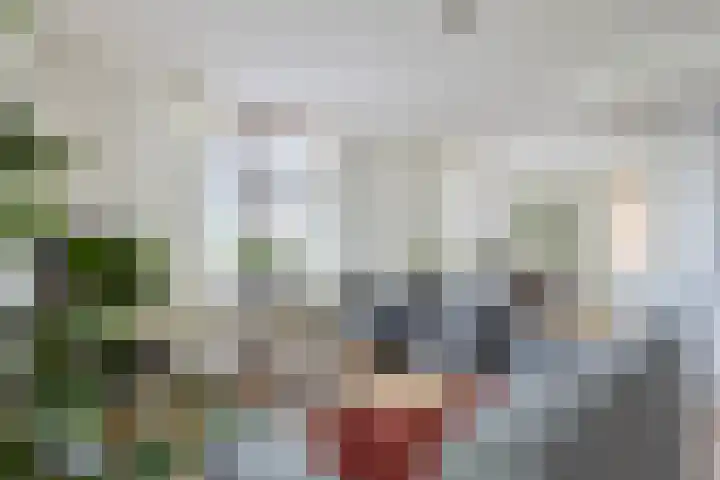 Schans 26 Berkel en Rodenrijs thumbnail 9