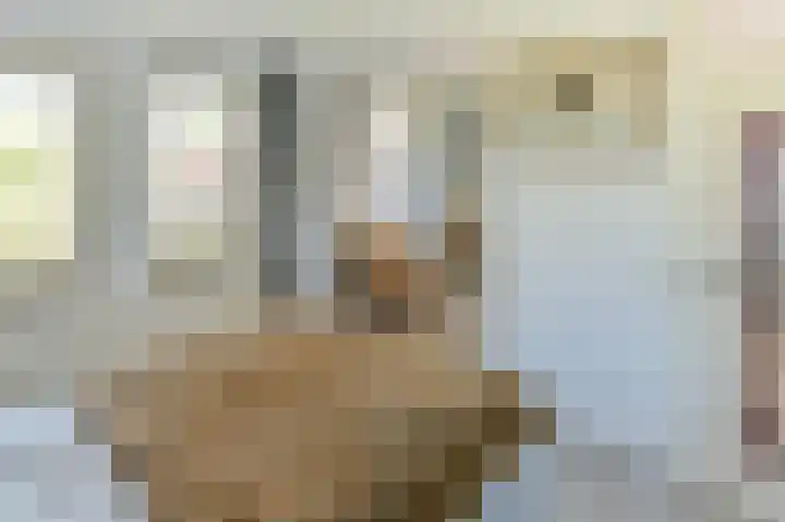 Schans 262 Uithoorn thumbnail 10