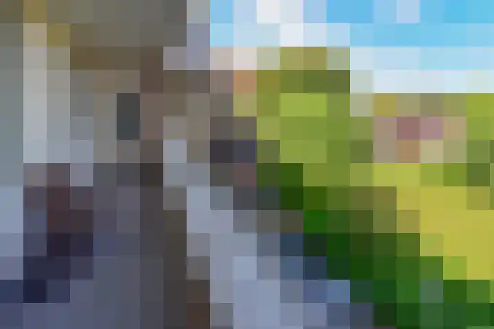 Schans 262 Uithoorn thumbnail 21