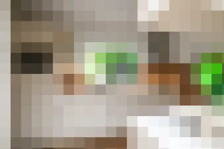 Schans 29 Blaricum thumbnail 10