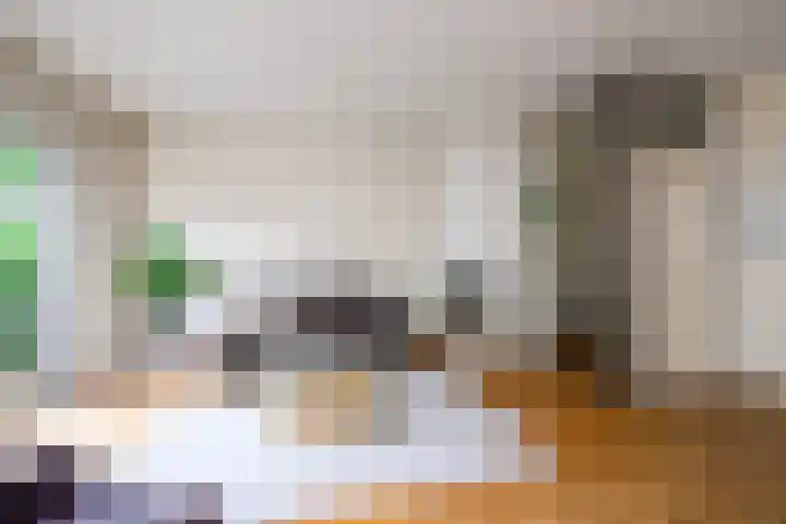 Schans 29 Blaricum thumbnail 14
