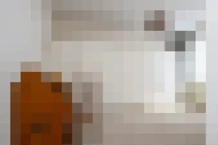 Schans 29 Blaricum thumbnail 18