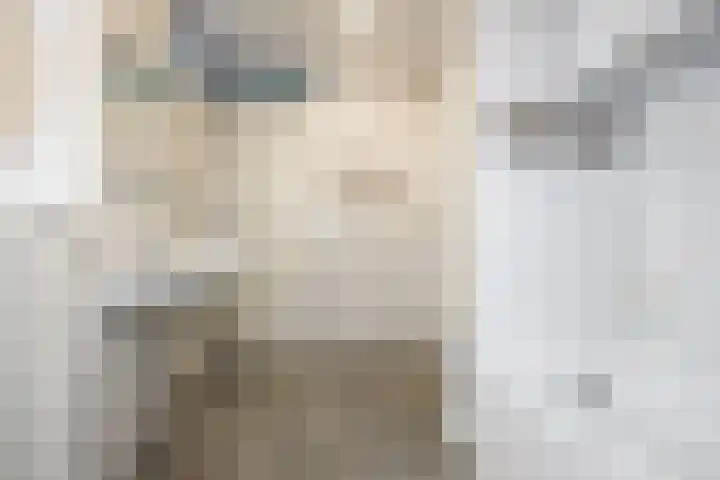 Schans 29 Blaricum thumbnail 23