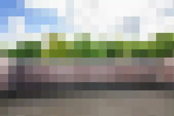 Schans 29 Blaricum thumbnail 31