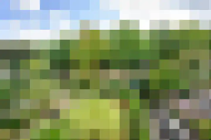 Schans 29 Blaricum thumbnail 33
