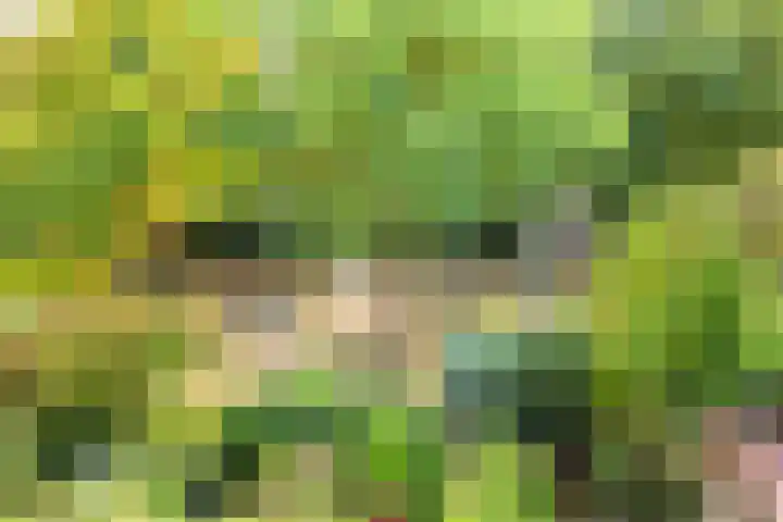 Schans 29 Blaricum thumbnail 34