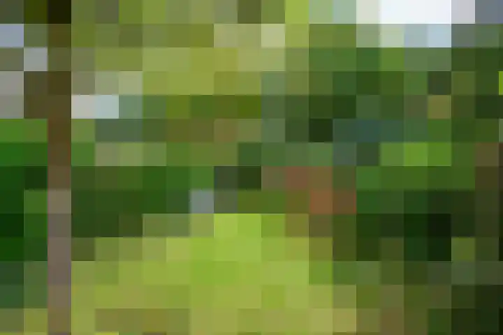 Schans 29 Blaricum thumbnail 35