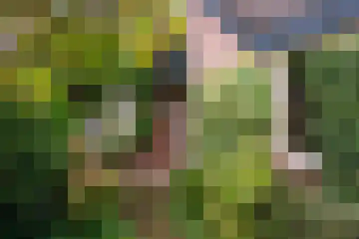 Schans 29 Blaricum thumbnail 4