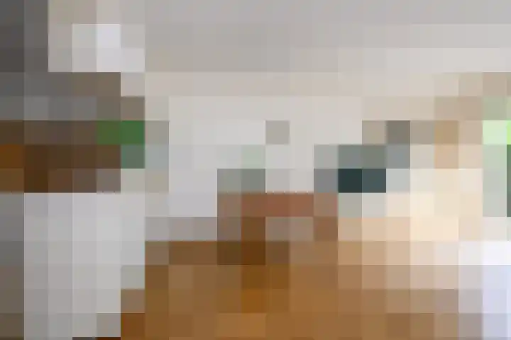 Schans 29 Blaricum thumbnail 8