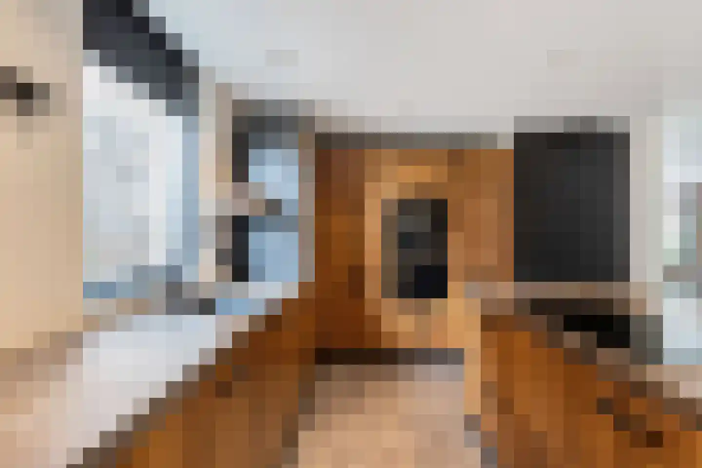 Schans 29 Lemmer thumbnail 11