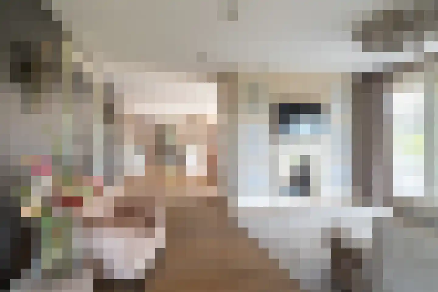 Schans 29 Werkendam thumbnail 11