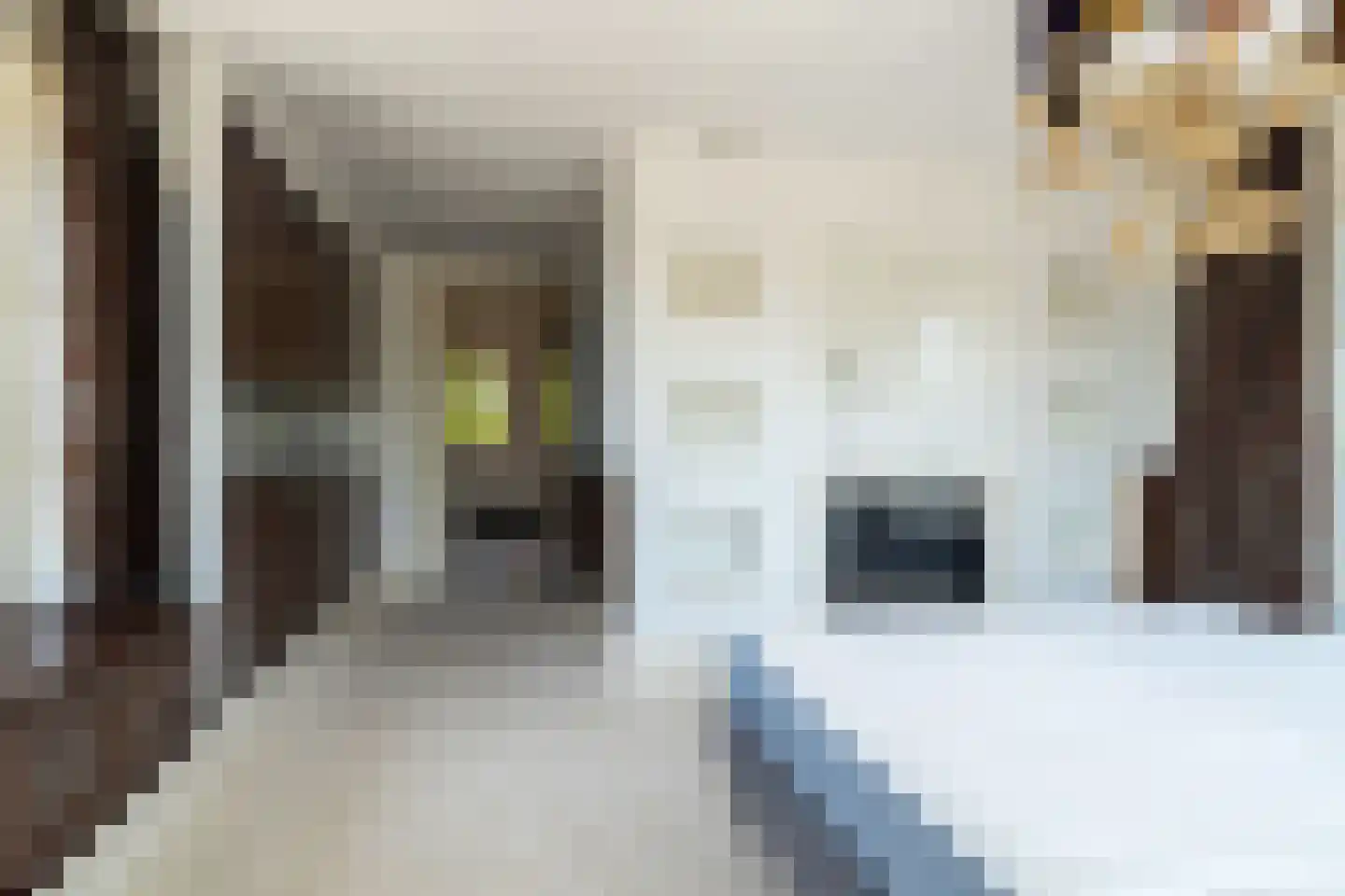 Schans 29 Werkendam thumbnail 30