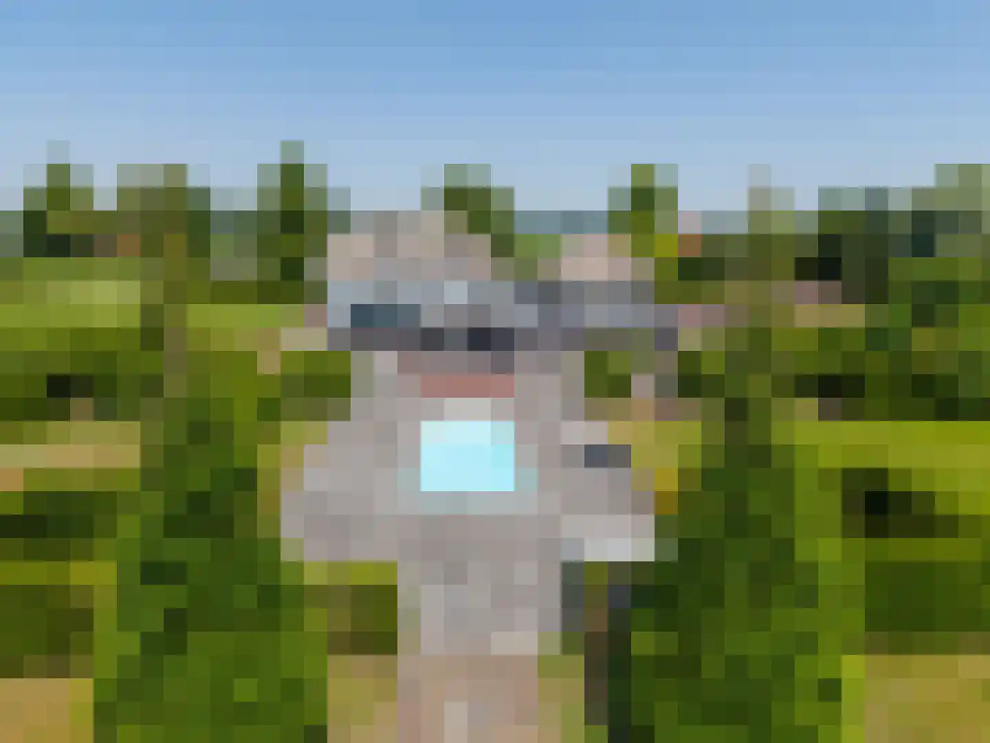 Schans 29 Werkendam thumbnail 66