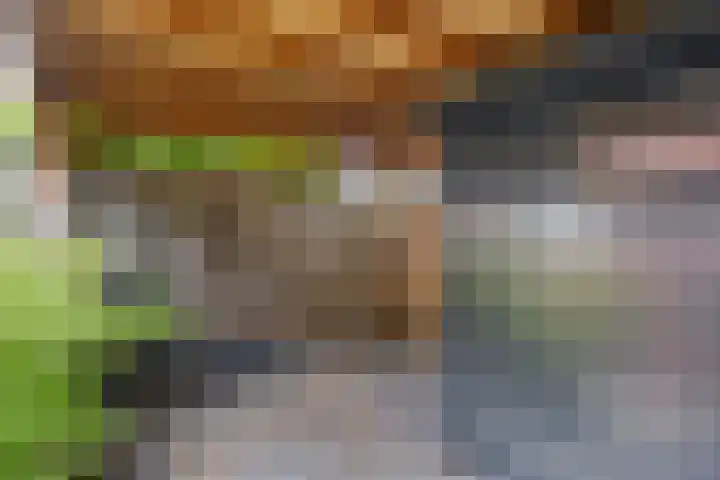 Schans 3 Woudrichem thumbnail 29