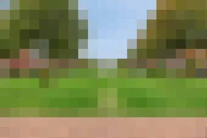 Schans 3 Woudrichem thumbnail 30