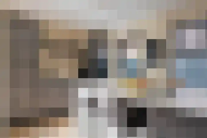 Schans 3 Zaandijk thumbnail 13